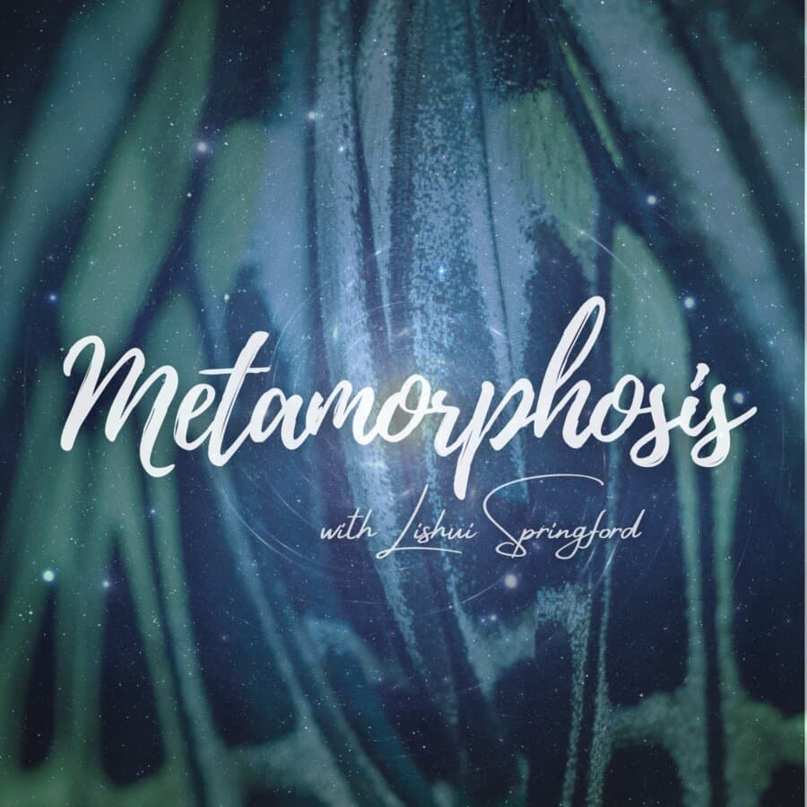 Metamorphosis