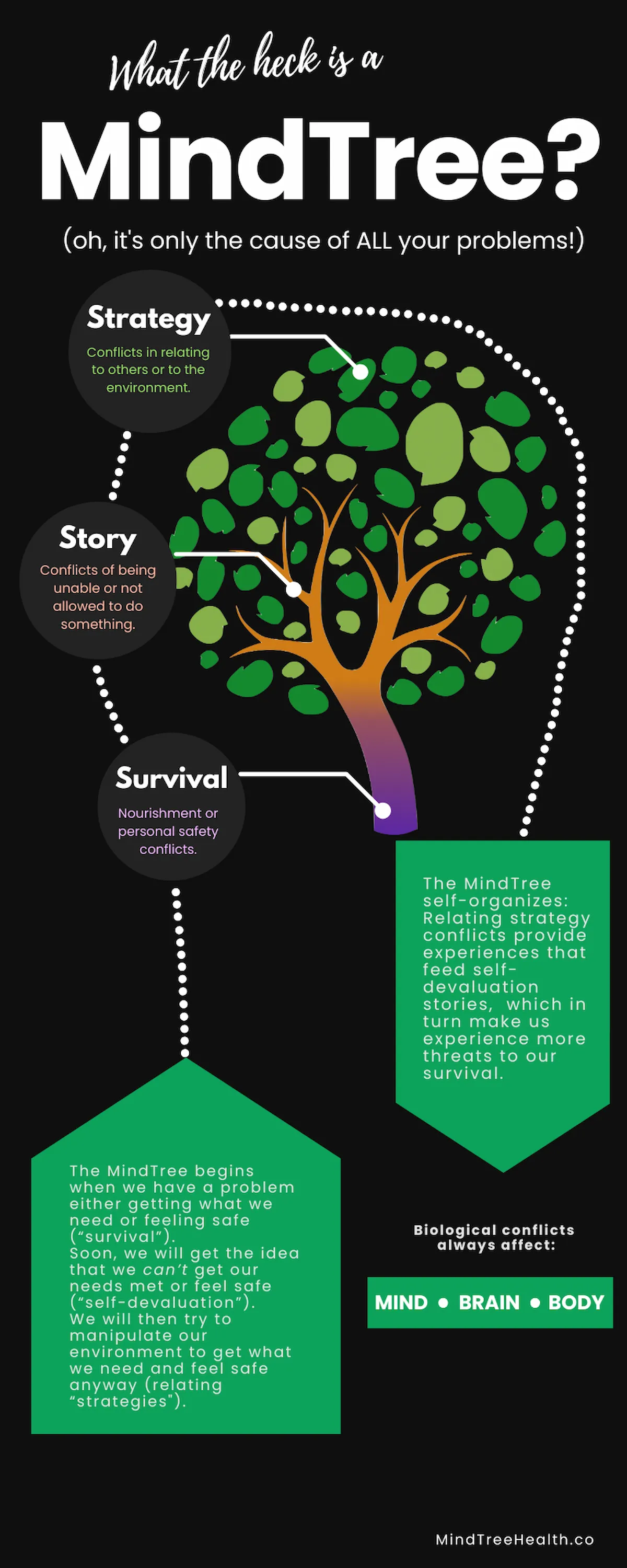 Your MindTree — a diagram showing how special biological programs connect