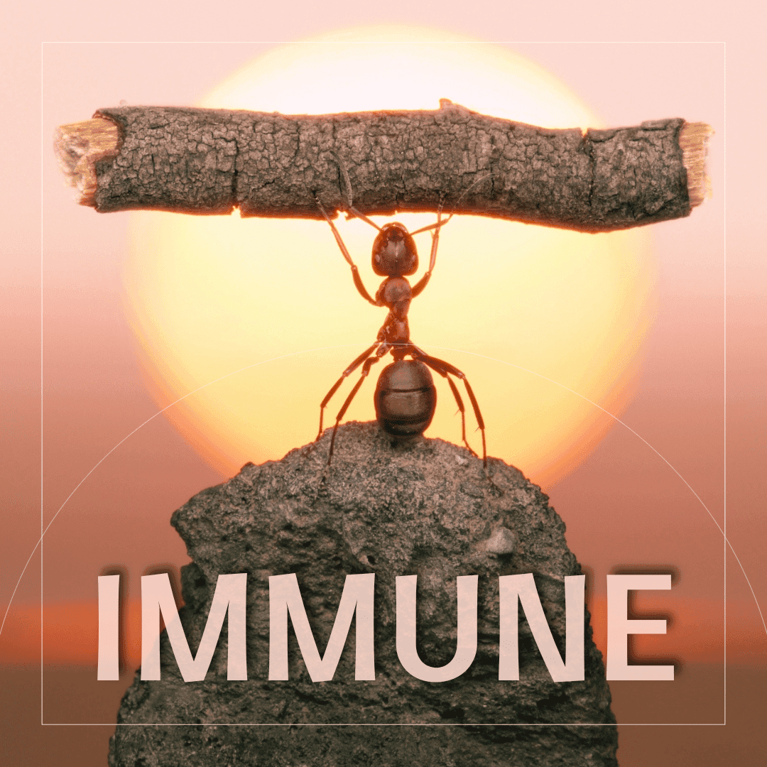Immune course